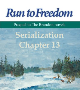 RuntoFreedom_serial_13