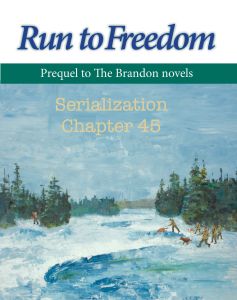 RuntoFreedom_serial_45